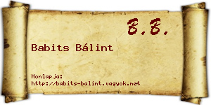 Babits Bálint névjegykártya
